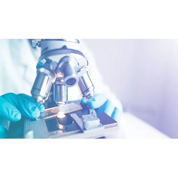 Fingertip Puncture One Step 3mm 4mm Tuberculosis Rapid Test Kit