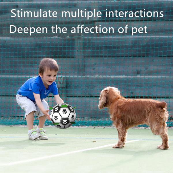 Amazon Pet Educational Toys Plush Gnawing Molars Interactive Training Dog Pet Supplies