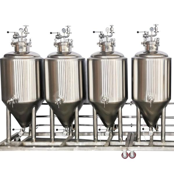 Quality Top Manhole Type GHO Customization Conical Fermenter Beer Fermenting Equipment with Acid Passivation Polishing for sale