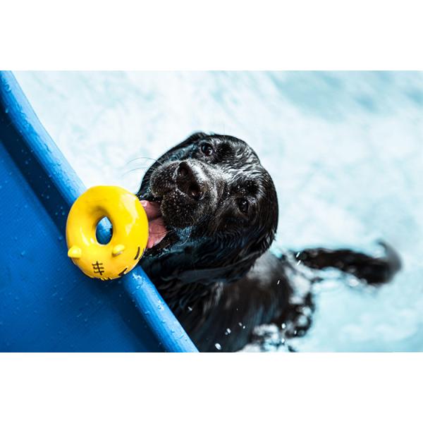 Chew Resistant Super Durable Dog Toys Squeaky Rubber Donut Dog Toy Clean Teething