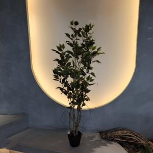 Insect Resistant Artificial Plants Indoor Artificial Green Walls 150CM
