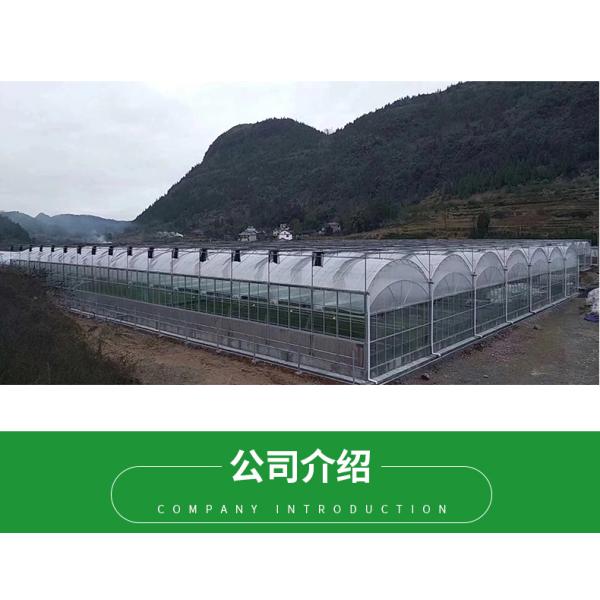 Film Cover Double Layer Hydroponics Grow Kit System for Greenhouse