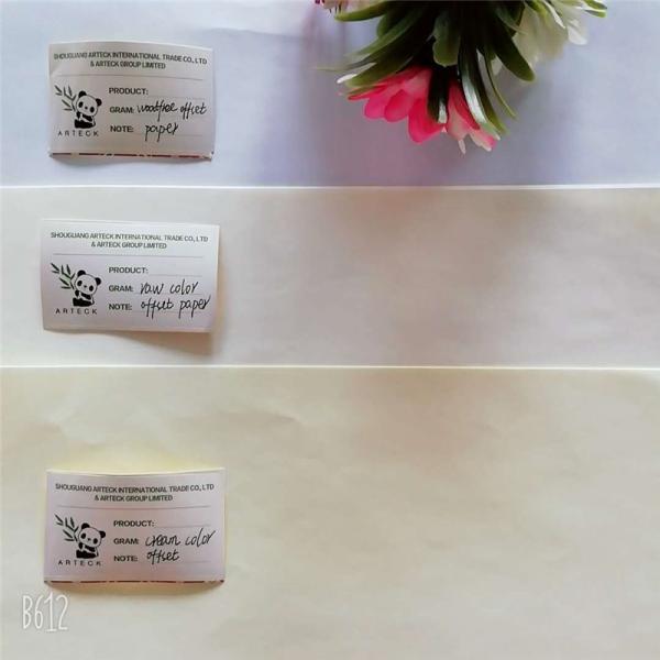 Offset Printing Compatible Cream Woodfree Paper Made of Wood Pulp from Baiyun Mill