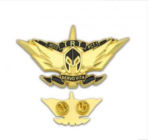 China Custom Logo Fashion Metal Craft Brass Soft/Hard Enamel Badge Gold Silver Emblem Police Security Lions Flag Military Long on sale
