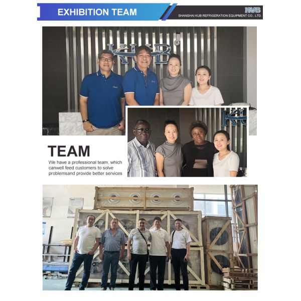 Storage Double Effect Air Cooled Cooler Condensate Mini Fridge Salt Chiller Tube Ice 5Hp Coldroom Cooling Coil Fan Evaporator