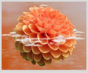 Buy cheap 19&quot; 30 Pins TFT Color LCD 1280x1024 All Viewing Angle 16.7m Lvds Screen product