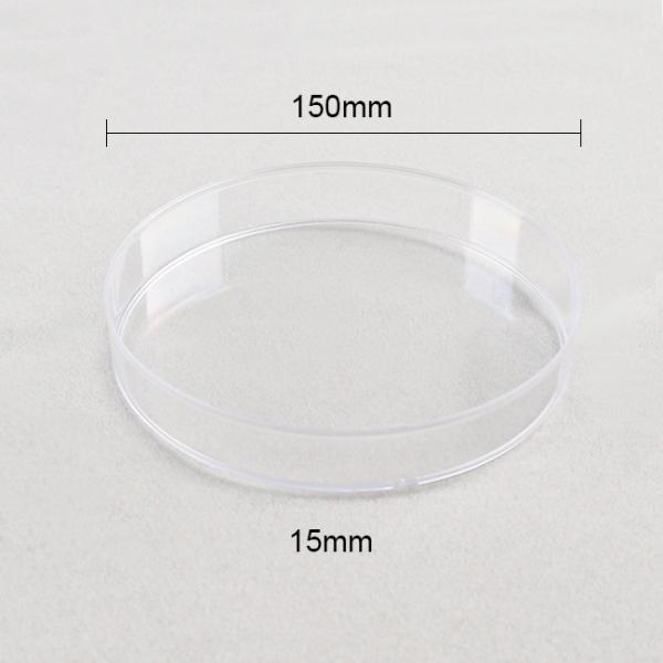 Laboratory Services 150x15mm Large Petri Dishes Culturing Cells Disposability