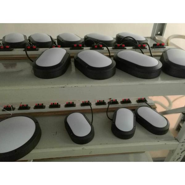 IP65 Oval LED Bulkhead Light Wall Mounted Cool White 240V For Outdoor Lighting Project