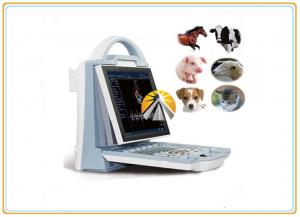 Animal Ultrasound Scan Machine Durable 6.5MHz R20 Micro Convex Probe
