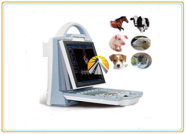 Quality Animal Ultrasound Scan Machine Durable 6.5MHz R20 Micro Convex Probe for sale