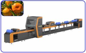 Buy cheap Large Output Fruit Sorting Equipment 4 Channel Fast Speed CE Certified product