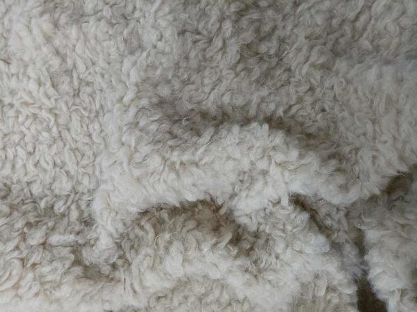 Quality Curled Warp Knitted Soft Plush 380gsm 100% P for sale
