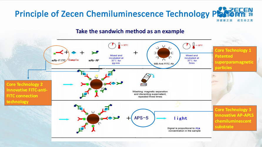 Serum/Plasma/Whole Blood Test Estradiol Reagent kit E2 for Fertility Hormone In Vitro Diagnostic Reagents