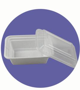 Buy cheap DISPOSABLE PLASTIC RECTANGULAR BOX, LUNCH BOX, WITH CLEAR LID/COVER product