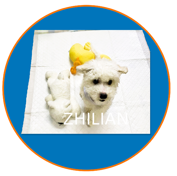 Pet Pad Training Pad Puppy Pad Machine 170 m / min