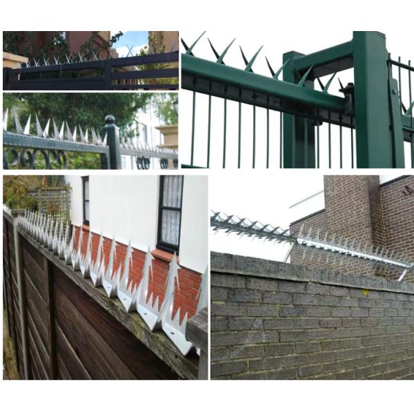 Hot Dipped Galvanized Fence Security Spikes razor wall spikes 1.25M non rusting