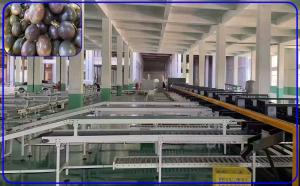 Buy cheap Industrial Passion Fruit Sorting Machine 2 Channel Intelligent Various Configurations product