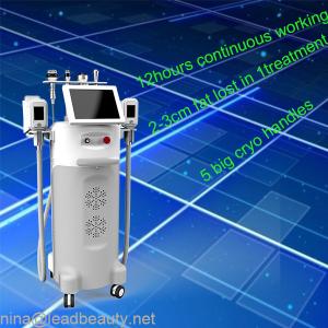 Buy cheap 1000 W Output Power Effectively cryolipolysis slimming fat lose multi-functional machine product