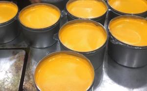 Quick Drying 2.5kg/Tin Pigment Sheetfed Offset Printing Ink