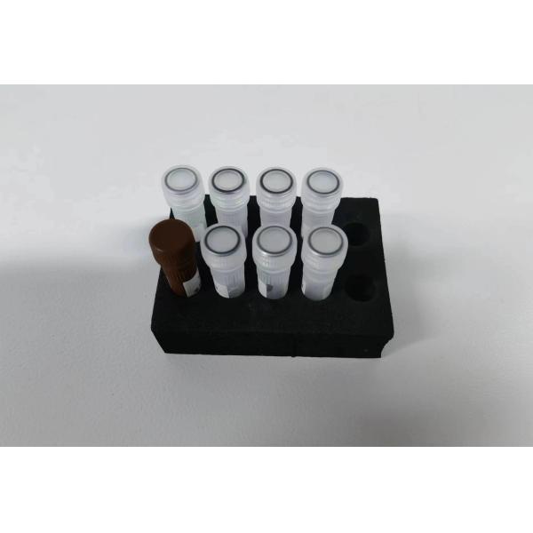 Hepatitis B Virus HBV quantitative PCR KIT Sensitivity Sample Type Test Kit With 96 Tests