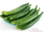 Cucumber Extract Enhance immunity, delaying aging Chinese Manufacturer Yongyuan