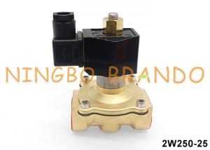 China 2W250-25-NO 1'' 2 Way Normally Open Solenoid Valve 24VDC 220VAC on sale