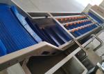 13.8KW Vegetable Fruit Washing Machine Salad Lettuce Spinach Processing Line