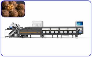 Buy cheap Mechanical 16 Channel Walnut Sorter 2 T/H Optical Sorting Machine product