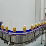 Complete Set Of Pineapple Processing Line Machines Selected By More Than 300