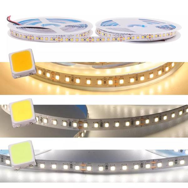 2835 120LEDs 6000K 10W 12V LED Strip Waterproof CE ROHS Flexible