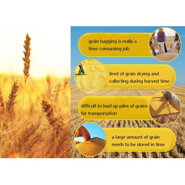 Mobile 40inch Container Grain Collecting And Bagging Machine Lightweight