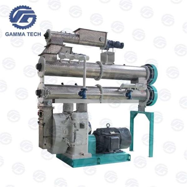 Quality 55KW 2 Roller 4mm 5mm Goat Livestock Feed Pellet Making Machine For Cattle Feed for sale