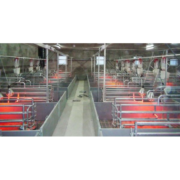 Hot Galvanized Prefabricated Steel Structure Pig House with Bolted Connection for Easy Installation