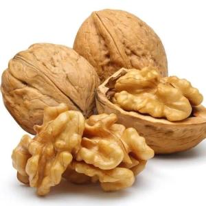Buy cheap OEM Chinese Wholesale New Crop Paper Walnut in shell High Protein Nut Non-GMO 185 Kernel product