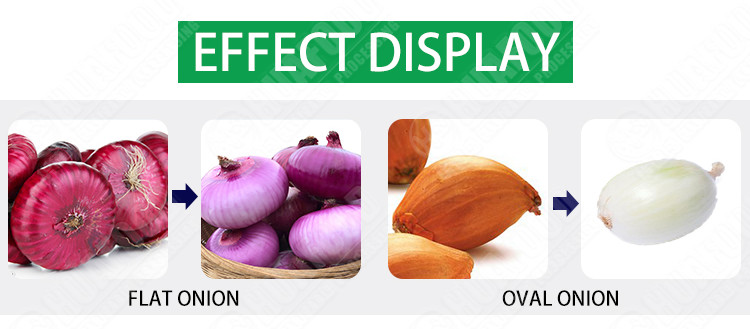 1.0MPa Washing Peeling Onion Processing Equipment