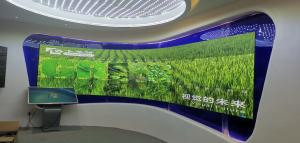 Soft Rubber Indoor LED Display Screen P3 P4 P5 P6 For Curved Shape Wall