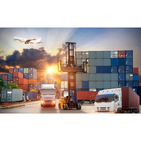 High Reliability Customs Declaration Service , USA Customs Clearance Broker