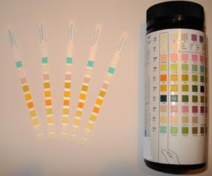Buy cheap 10 Parameter Urine Ph Test Strips Colorimetric Analysis With Color Charts product