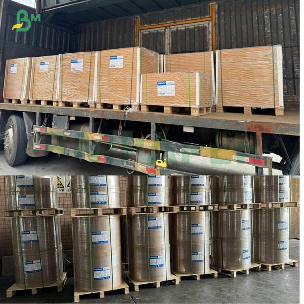25gsm Foodgrade Bleached Coffee Paper For Hand Drip Coffee 25gsm Foodgrade Bleached Coffee Paper For Hand Drip Coffee