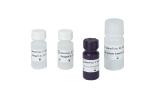Sperm DNA fragmentation test sperm chromatin structure assay SCSA