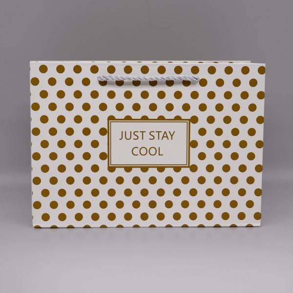 OEM / ODM Customization Twisted Handle Paper Packing Bag For Clothing