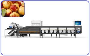 Buy cheap Fresh Jujube Junzao Dates Sorting Machine 4 Channel Optical Sorter Machine product