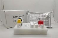 China Serum Plasma Diagnostic Test Igg Elisa Kit For Hepatitis B Core Antigen on sale