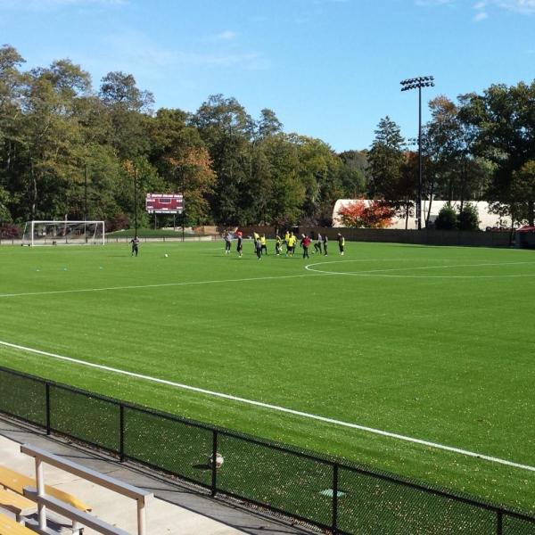 Quality 60mm Synthetic Turf Football Field PE Material SGS Certificate Approved for sale