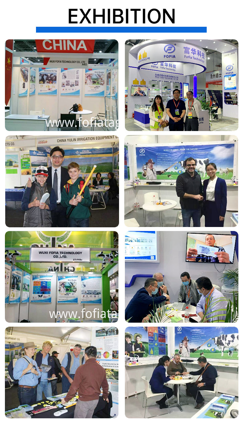 ISO Standard Microchip Rfid Tag Injectable Chips Animal Microchip Syringe For Livestock Microchip Injectable Transponder