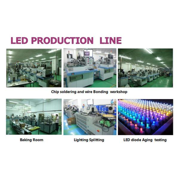 Top quality 2 wires 110/220V LED rope light Christmas decorative lighting outdoor festive lighting supplier best price