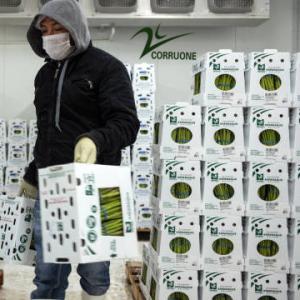 Fruit Corrugated Boxes Customizable and Sustainable Packaging Solution