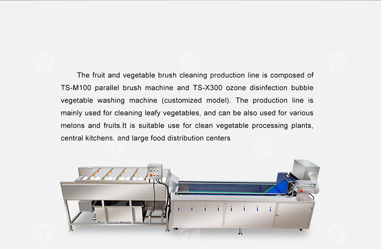 Multifunction Fruit And Vegetable Processing Line Parallel Brush Machine