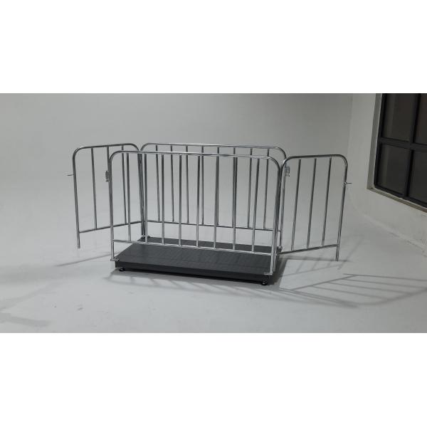 Digital Livestock Weighing Scale 500kg/1000kg Weight Limit Customized OEM Support Fence Scale for Cattle Sheep and Pigs