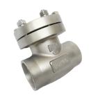 Cf8 / Cf3 Cryogenic Check Valve Straight Through Check Valve